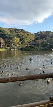 三溪園に投稿された画像（2021/11/30）