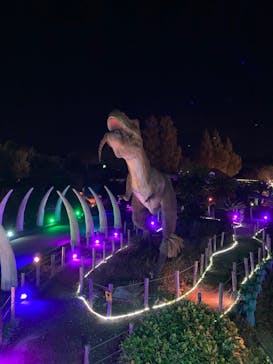 伊豆ぐらんぱる公園に投稿された画像（2021/11/30）