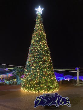 伊豆ぐらんぱる公園に投稿された画像（2021/11/30）