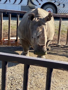 那須サファリパークに投稿された画像（2021/11/30）