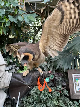 神戸どうぶつ王国に投稿された画像（2021/11/30）