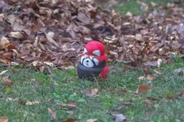 天王寺動物園に投稿された画像（2021/11/30）