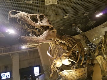 国立科学博物館に投稿された画像（2021/11/30）