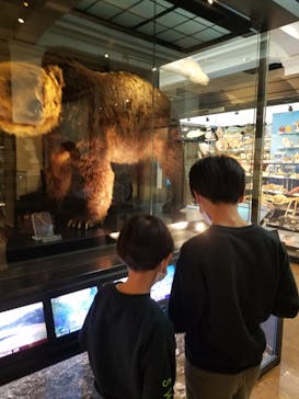 国立科学博物館に投稿された画像（2021/11/30）