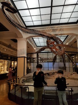 国立科学博物館に投稿された画像（2021/11/30）