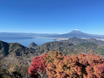 伊豆パノラマパークに投稿された画像（2021/11/30）