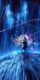 森ビル デジタルアート ミュージアム：エプソン チームラボボーダレスに投稿された画像（2021/11/30）
