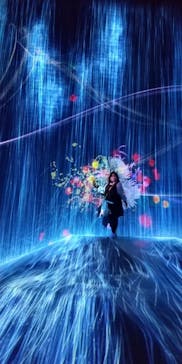 森ビル デジタルアート ミュージアム：エプソン チームラボボーダレスに投稿された画像（2021/11/30）