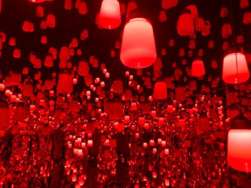 森ビル デジタルアート ミュージアム：エプソン チームラボボーダレスに投稿された画像（2021/11/30）