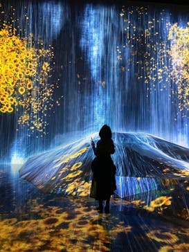 森ビル デジタルアート ミュージアム：エプソン チームラボボーダレスに投稿された画像（2021/11/30）