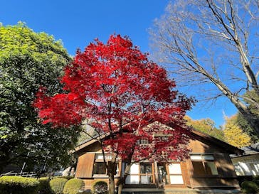江戸東京たてもの園に投稿された画像（2021/11/30）