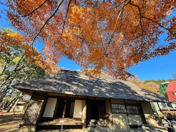 江戸東京たてもの園に投稿された画像（2021/11/30）