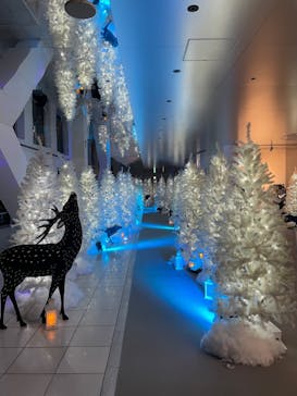 梅田スカイビル・空中庭園展望台に投稿された画像（2021/11/30）