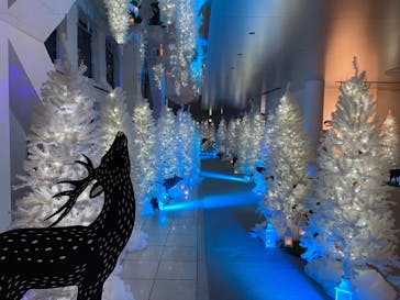 梅田スカイビル・空中庭園展望台に投稿された画像（2021/11/30）