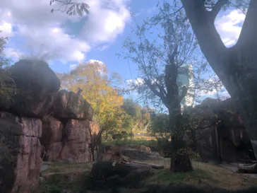 天王寺動物園に投稿された画像（2021/11/30）