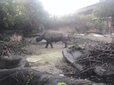天王寺動物園に投稿された画像（2021/11/30）
