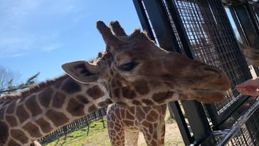 那須サファリパークに投稿された画像（2021/11/30）