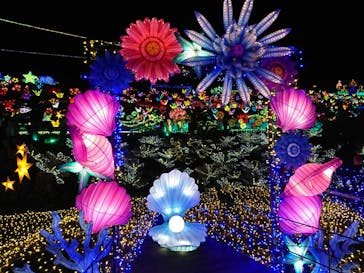 伊豆ぐらんぱる公園に投稿された画像（2021/11/30）