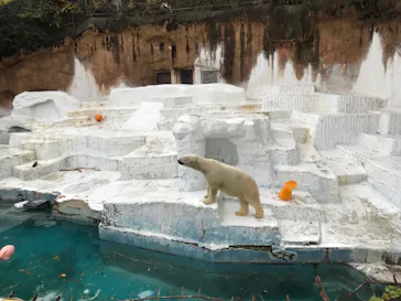 天王寺動物園に投稿された画像（2021/12/1）