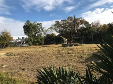天王寺動物園に投稿された画像（2021/12/1）