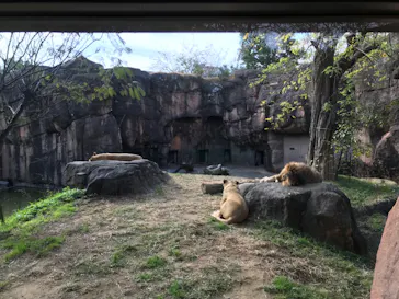 天王寺動物園に投稿された画像（2021/12/1）