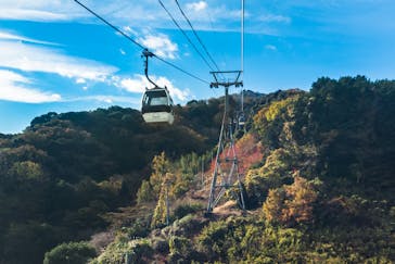 伊豆パノラマパークに投稿された画像（2021/12/1）