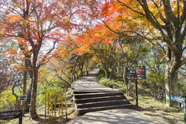 伊豆パノラマパークに投稿された画像（2021/12/1）