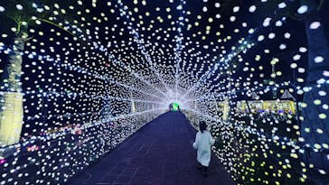 美らヤシパークオキナワ・東南植物楽園に投稿された画像（2021/12/1）