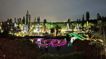 美らヤシパークオキナワ・東南植物楽園に投稿された画像（2021/12/1）