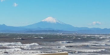 新江ノ島水族館に投稿された画像（2021/12/1）