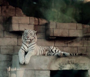 東武動物公園に投稿された画像（2021/12/1）