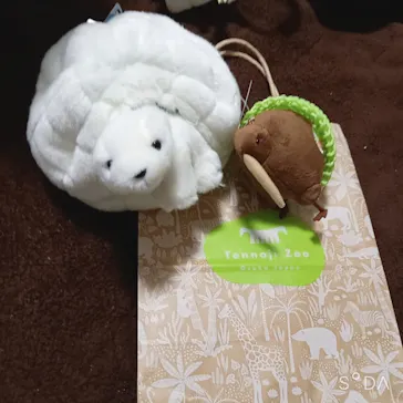 天王寺動物園に投稿された画像（2021/12/1）