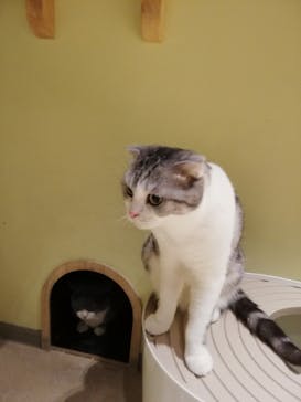 Moff animal world MARK IS みなとみらい店に投稿された画像（2021/12/1）