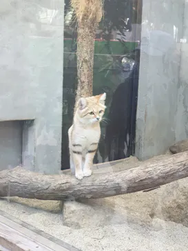 神戸どうぶつ王国に投稿された画像（2021/12/1）