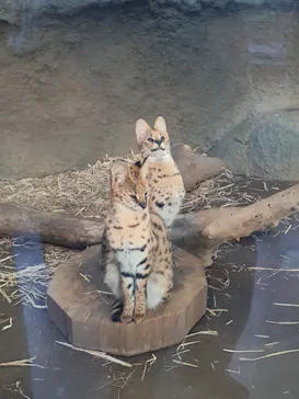 神戸どうぶつ王国に投稿された画像（2021/12/1）