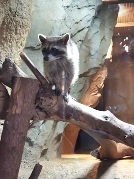 神戸どうぶつ王国に投稿された画像（2021/12/1）