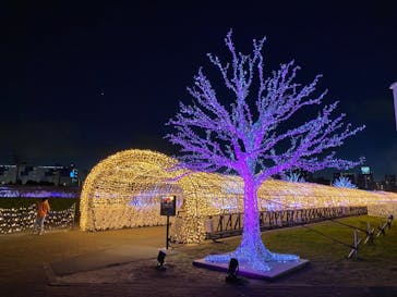 東京メガイルミに投稿された画像（2021/12/1）