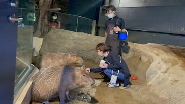 マクセル アクアパーク品川に投稿された画像（2021/12/1）