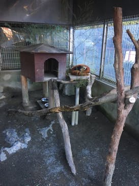 熱川バナナワニ園に投稿された画像（2021/12/2）