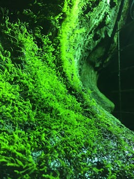 あぶくま洞に投稿された画像（2021/12/2）