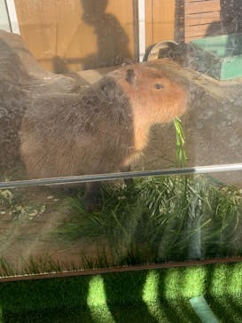 新江ノ島水族館に投稿された画像（2021/12/2）