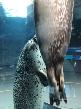 旭川市旭山動物園に投稿された画像（2021/12/2）