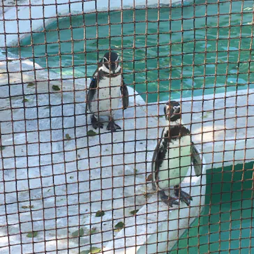 天王寺動物園に投稿された画像（2021/12/2）