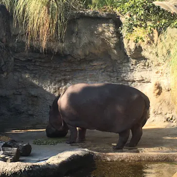 天王寺動物園に投稿された画像（2021/12/2）