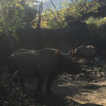 天王寺動物園に投稿された画像（2021/12/2）