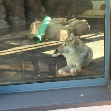 天王寺動物園に投稿された画像（2021/12/2）