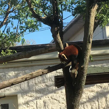 天王寺動物園に投稿された画像（2021/12/2）
