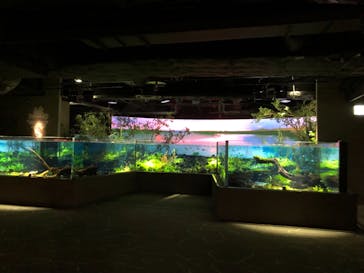 カワスイ 川崎⽔族館に投稿された画像（2021/12/2）