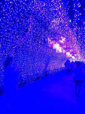 江の島シーキャンドルに投稿された画像（2021/12/2）