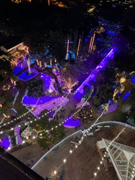 江の島シーキャンドルに投稿された画像（2021/12/2）